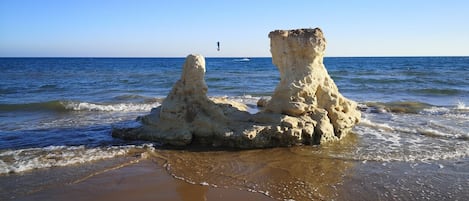 在海灘附近