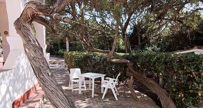Villa Oleandro. A few steps from the sea, with garden and sea view.