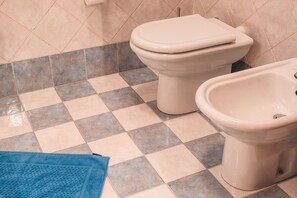 Shower, hair dryer, bathrobes, bidet