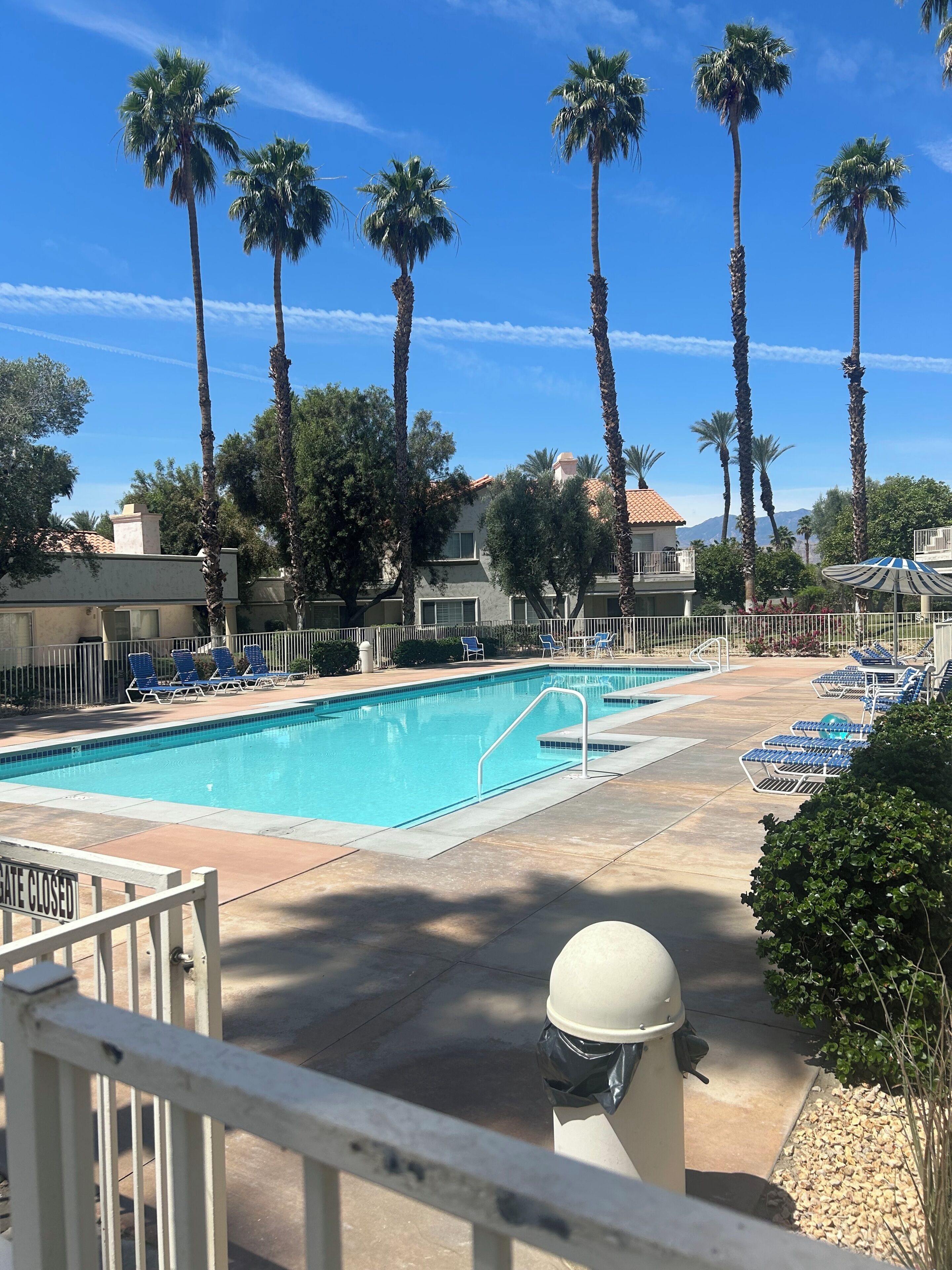Une piscine avec des chaises longues, des palmiers et une entrée fermée par un portail.