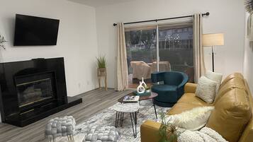 Smart TV, fireplace, DVD player, books