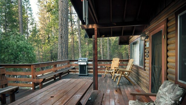 Una terraza de madera con mesas y sillas de picnic, una parrilla y vistas al bosque.