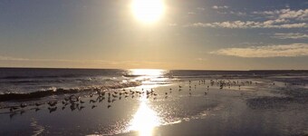 Treasure By The Sea.