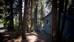 A cabin surrounded by tall trees with a wooden deck and steps leading to the entrance. - Lakefront Romantic Getaway - The Little Blue Cabin (Westwood)