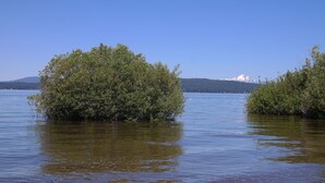 A calm lake with two small islands covered in dense foliage. - Lakefront Romantic Getaway - The Little Blue Cabin (Westwood)