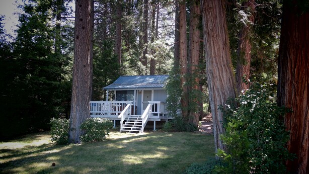 A cabin with a porch and steps, surrounded by tall trees. - Lakefront Romantic Getaway - The Little Blue Cabin (Westwood)