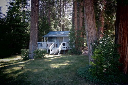 Lakefront Romantic Getaway - The Little Blue Cabin