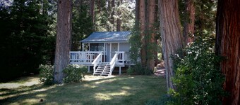 Lakefront Romantic Getaway - The Little Blue Cabin
