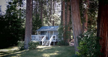Lakefront Romantic Getaway - The Little Blue Cabin