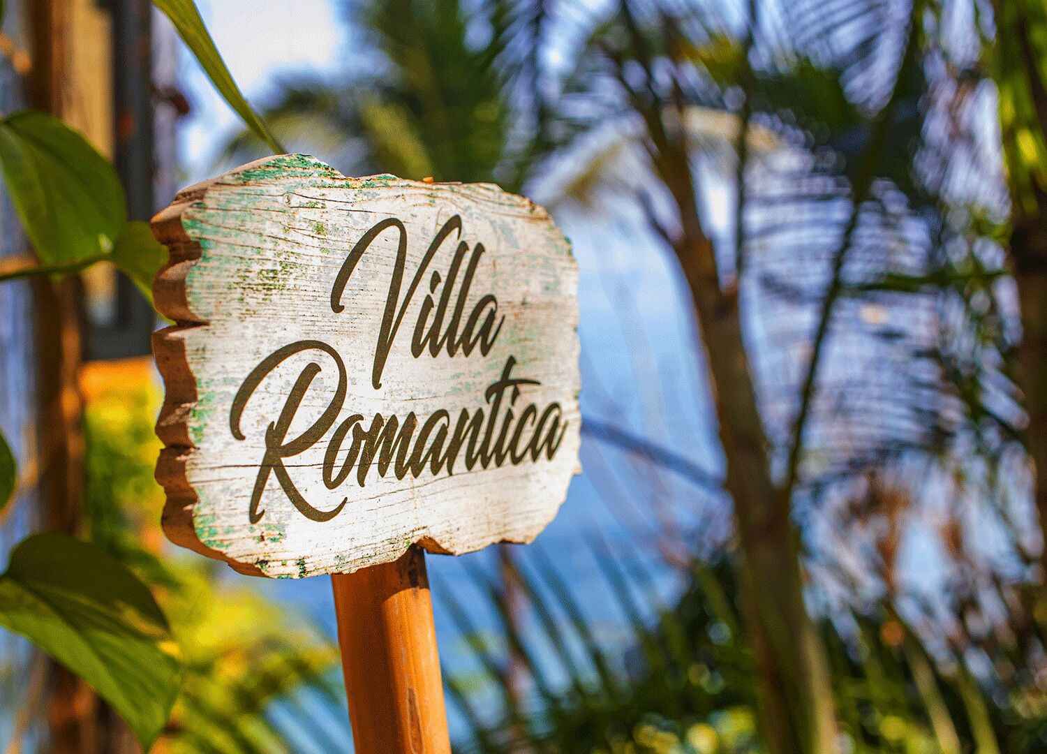 3 BR Private, Staffed Villa with pool and amazing views on Los Muertos Beach