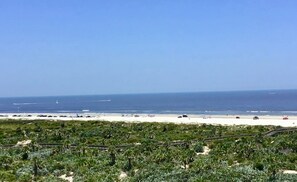 On the beach, sun loungers, beach towels - Just Available:  Luxury Condo for February-May 2025 (New Smyrna Beach)