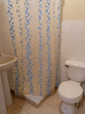 Combined shower/tub, bidet, towels