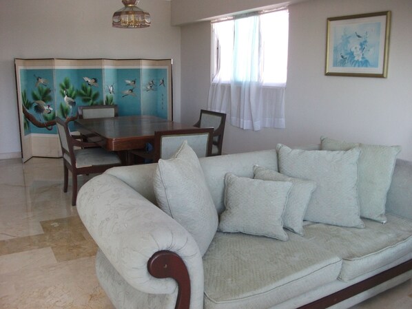 TV, DVD player, books, music library
