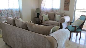 TV, DVD player, books, music library