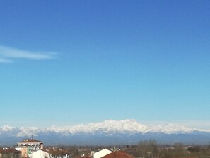 Immagine non classificata, 4 di 15, pulsante