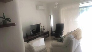 Uma sala de estar com um sofá, uma televisão, uma cadeira e uma planta.