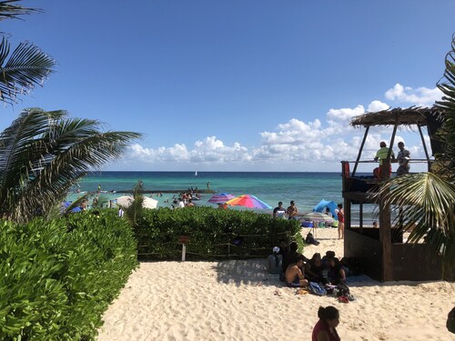 Near Beach, PENTHOUSE, WIFI, Bikes, Private Rooftop with PALAPA,  3BR 3BA