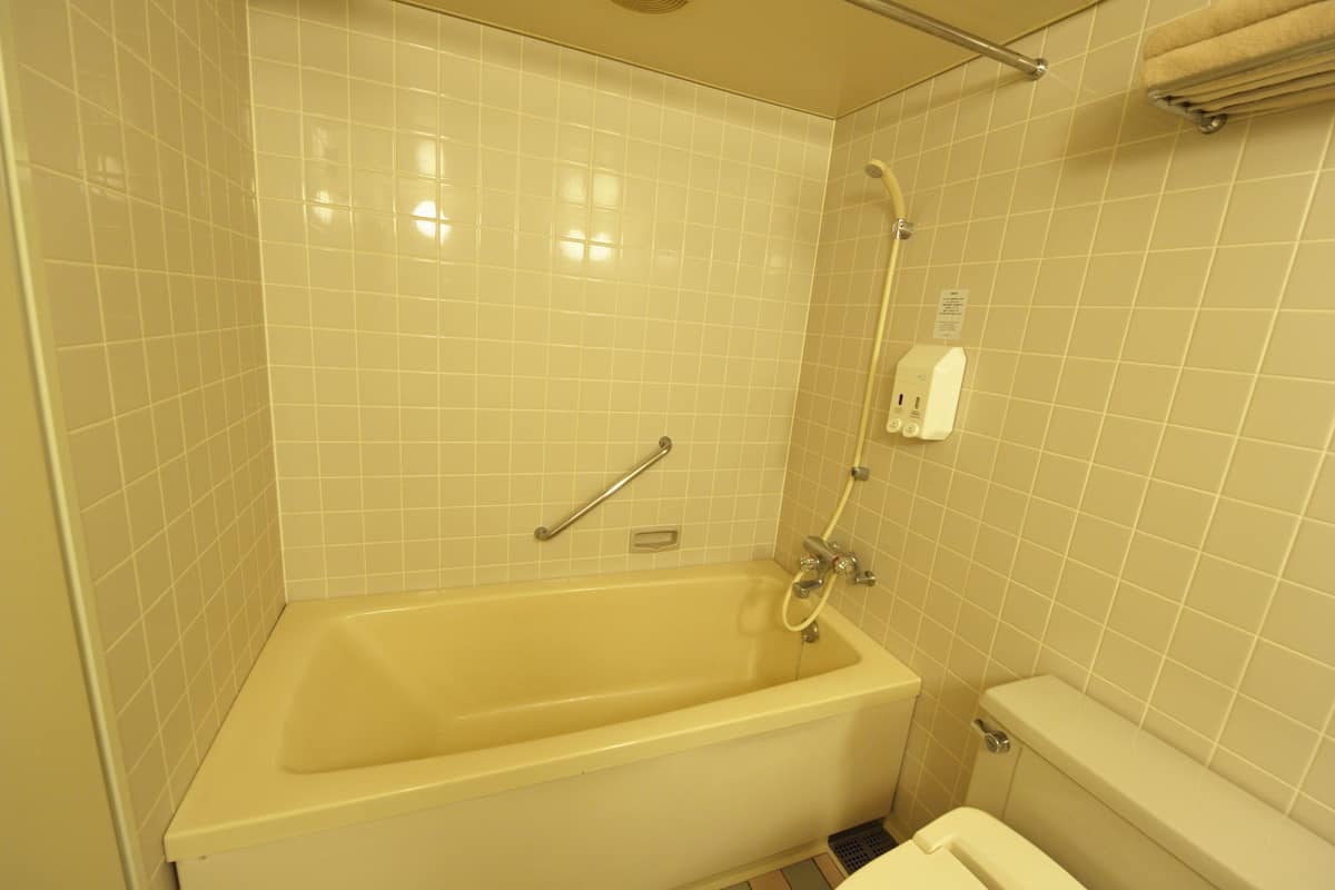 free toiletries, hair dryer, slippers, electronic bidet