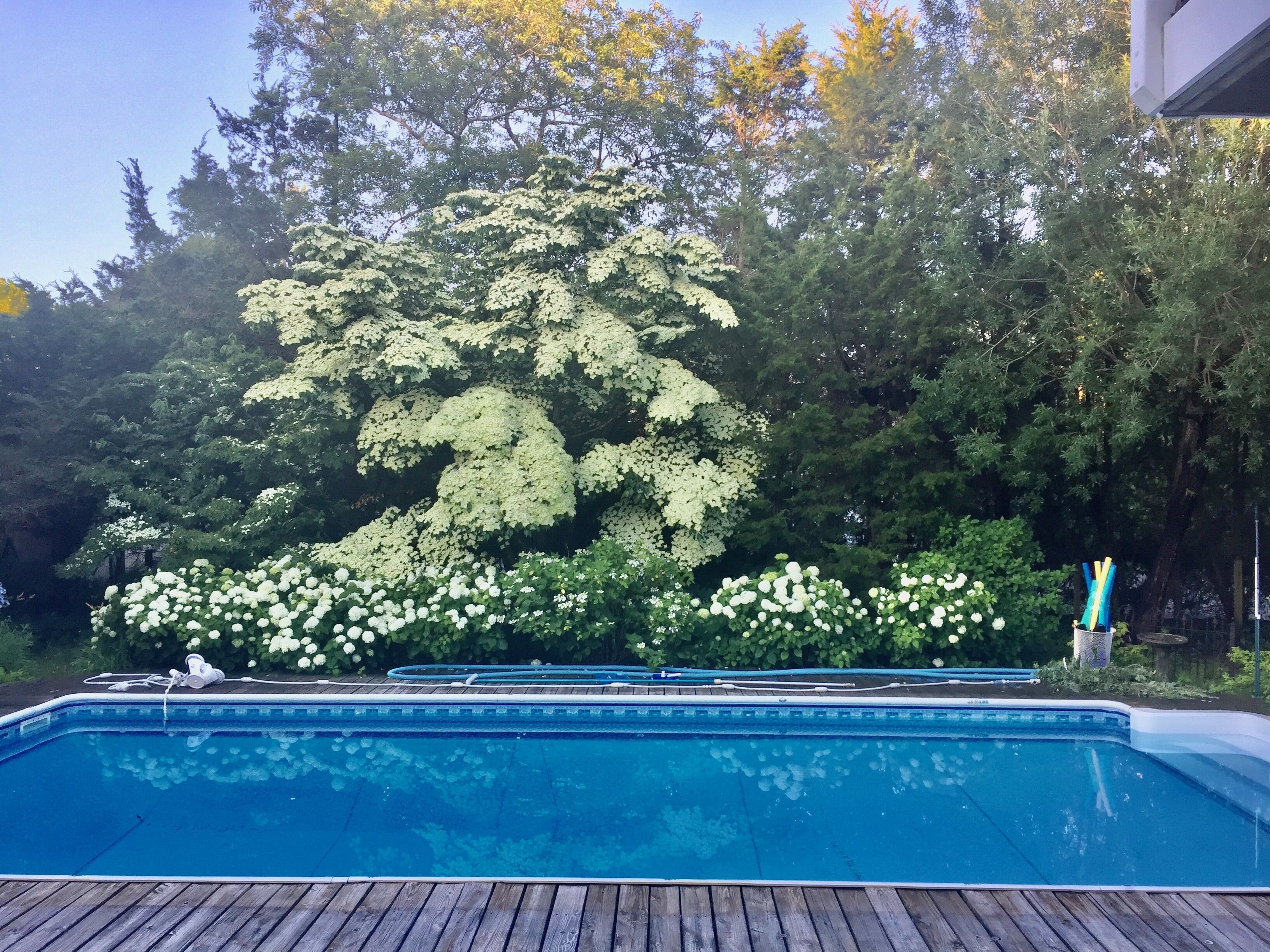HAMPTON BAYS  New Listing - Location, Location,Location 