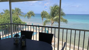 A covered outdoor area with a table and chairs, overlooking a beach with palm trees and a clear view of the ocean.