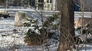 Uklassifisert bilde, 5 av 44, knapp