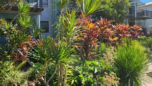 A residential area with multiple two-story houses, each featuring balconies with railings. - Noosa Holiday Accommodation (Tewantin)