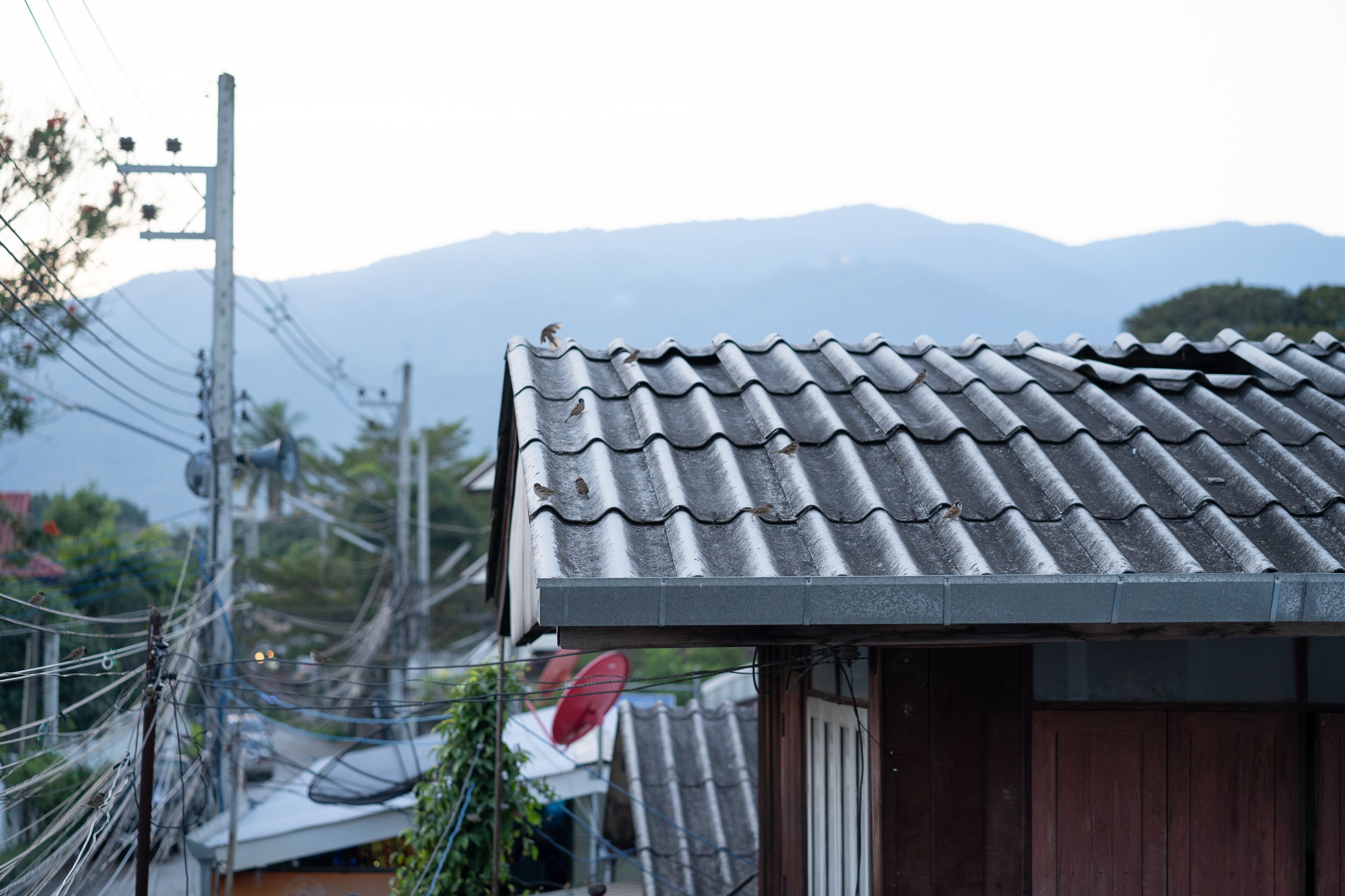 A traditional building with a tiled roof and visible satellite dish.