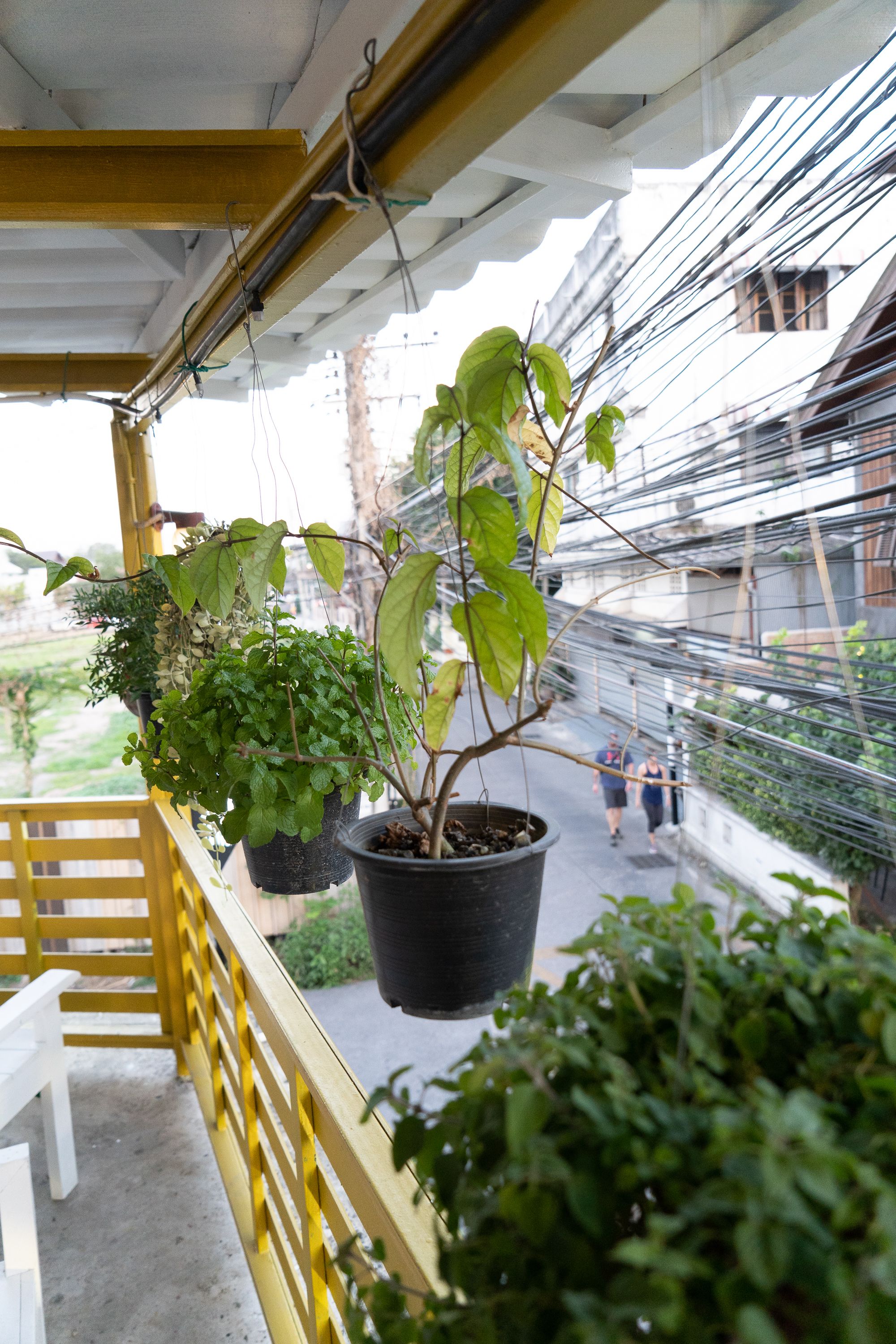 Foto - Past Tense Hostel