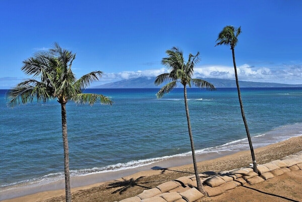 Plage, chaises longues, serviettes de plage