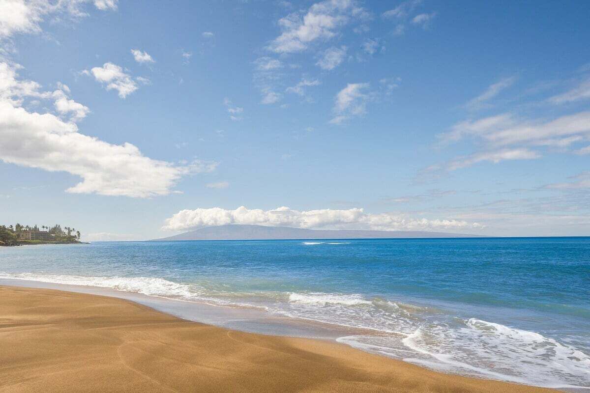 Une plage avec un ciel dégagé et une mer calme.