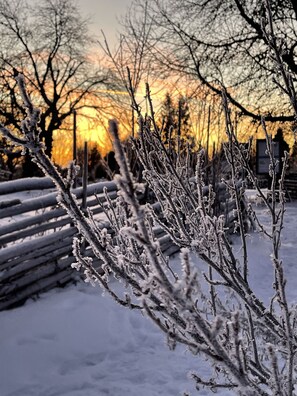 A snow-covered landscape with bare trees and a wooden fence. - Secluded Swedish house, near Katthult (Vimmerby)