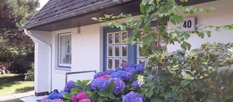 FeWo - House Tanja (Specowius)