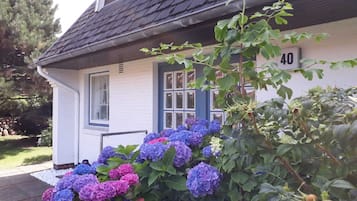 Detall de l'exterior