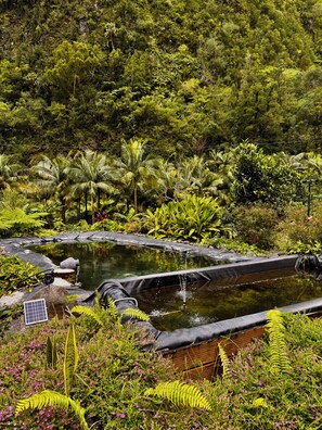 Family Room, Multiple Beds, Non Smoking, Mountain View | View from room - L'Escale Royale (Salazie)