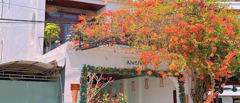 Fachada de la propiedad