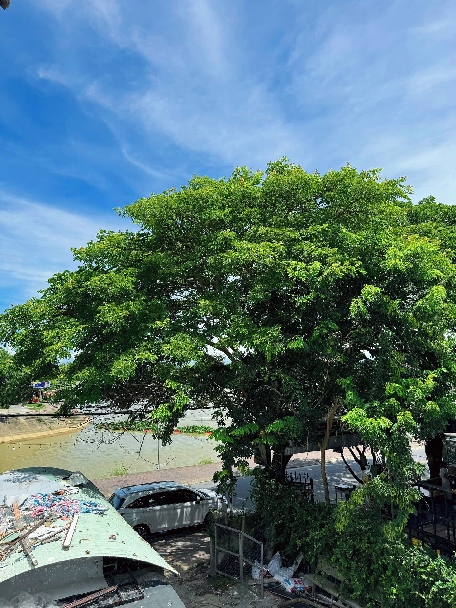 Photo - Anriva Hoi An