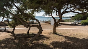 A coastal area with trees, a wooden deck, and a view of the sea. - Hostal Aigua Clara (Formentera)
