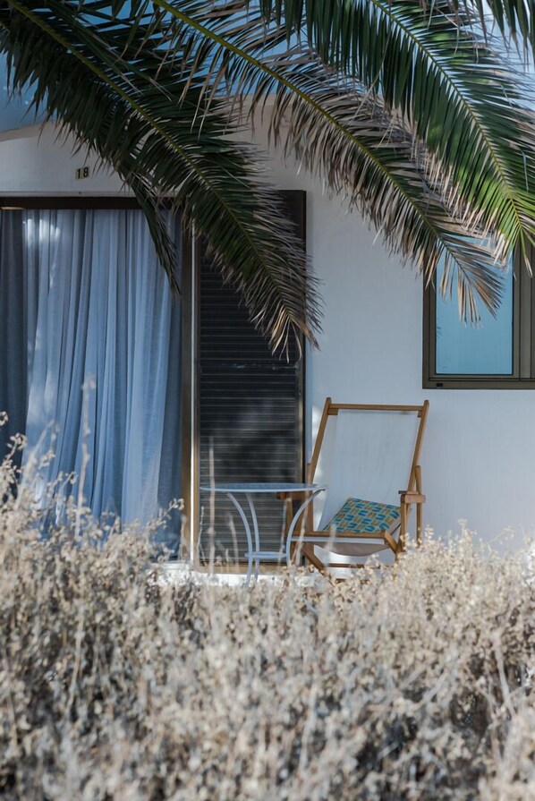 A room with a large window, a wooden chair, and a view of a palm tree.