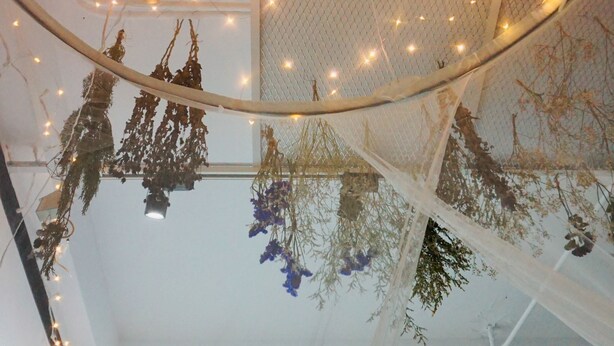 Una habitación con techo blanco, luces de cadena, plantas colgantes y un diseño de techo en forma de nube.