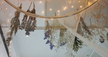 New Loft