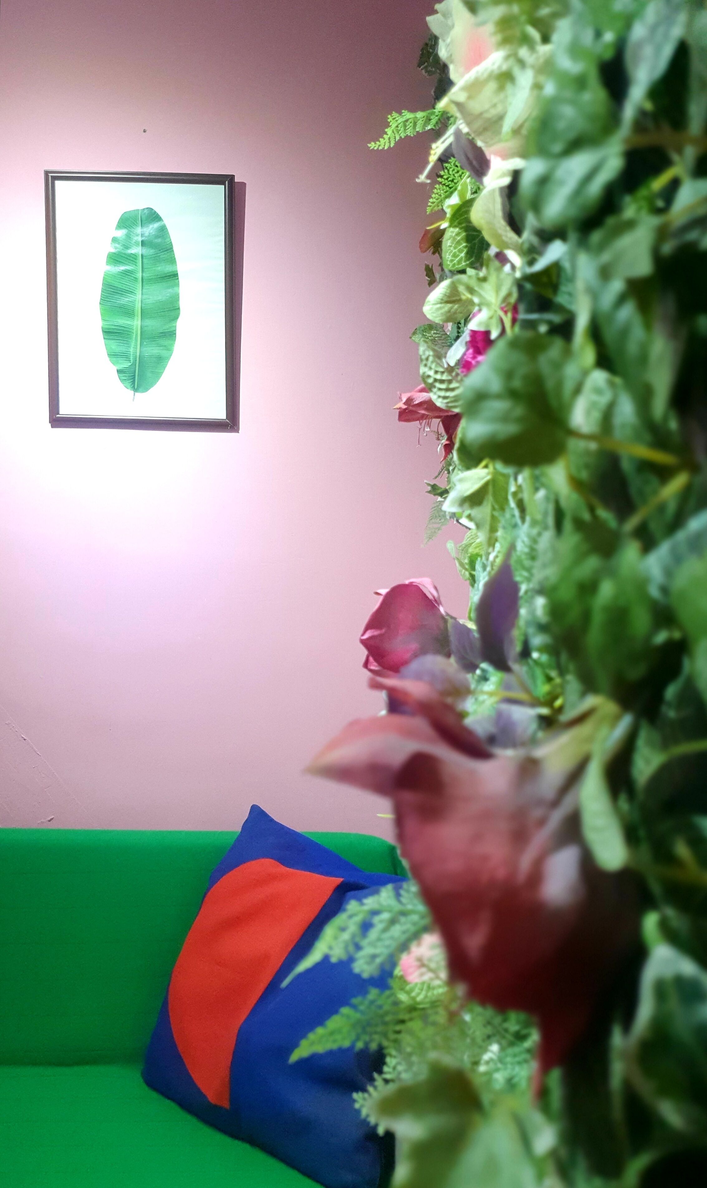 花京院 | 獨特裝潢、布置獨特、遮光布/窗簾、隔音