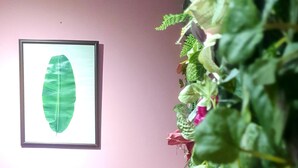 Una habitación con un sofá verde, una obra de arte con una hoja enmarcada en la pared y una planta en maceta con hojas verdes y una flor rosa.