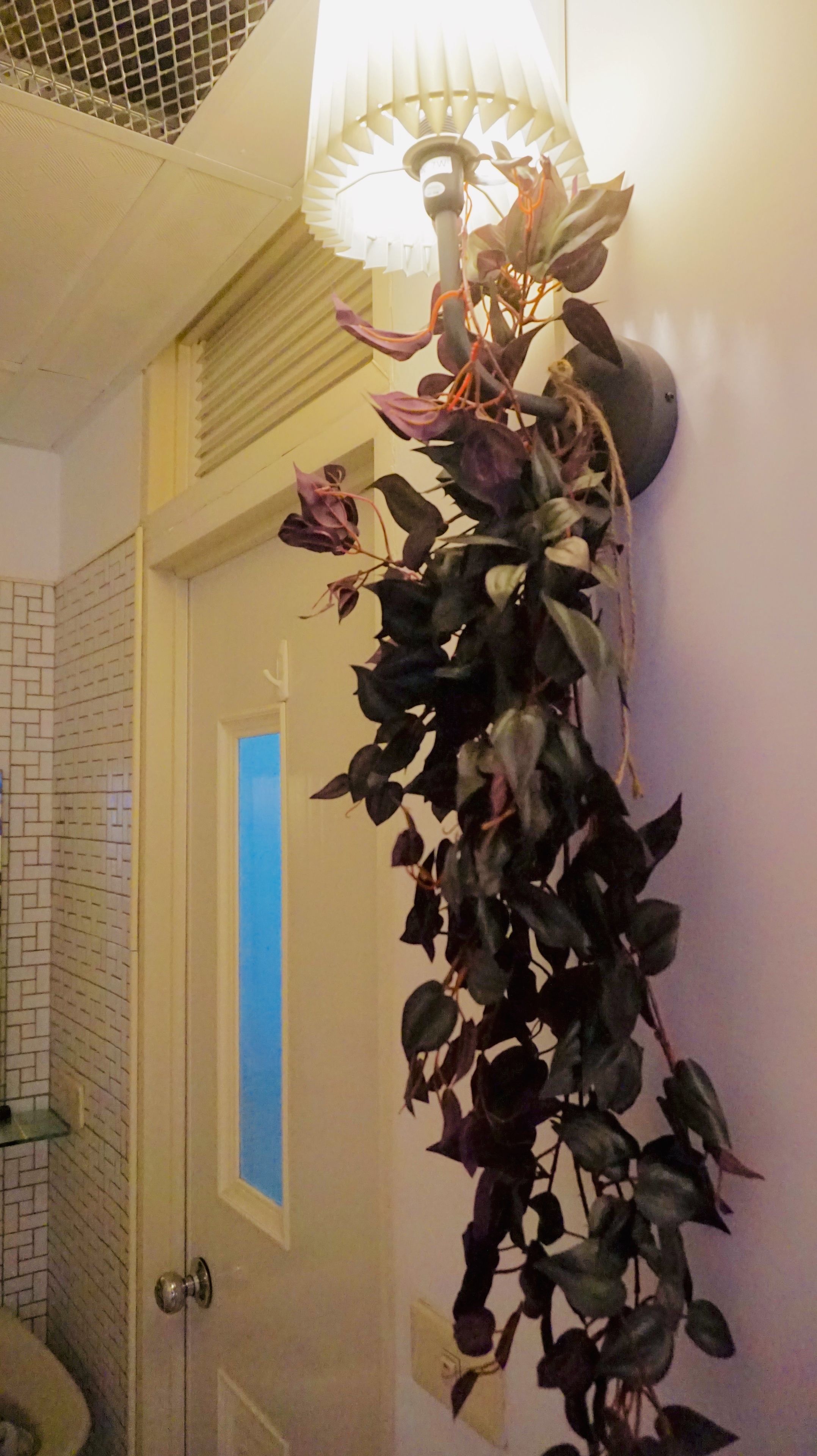 Une salle de bain avec un sol carrelé, une porte blanche et une plante fixée au mur, dont les feuilles sont d’un vert foncé.