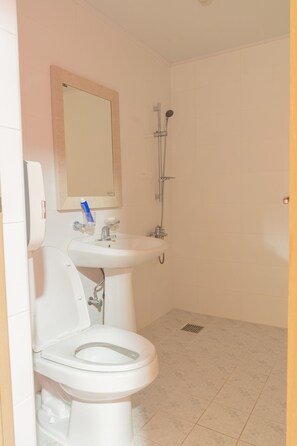 Dusche, kostenlose Toilettenartikel, Haartrockner, Handtücher