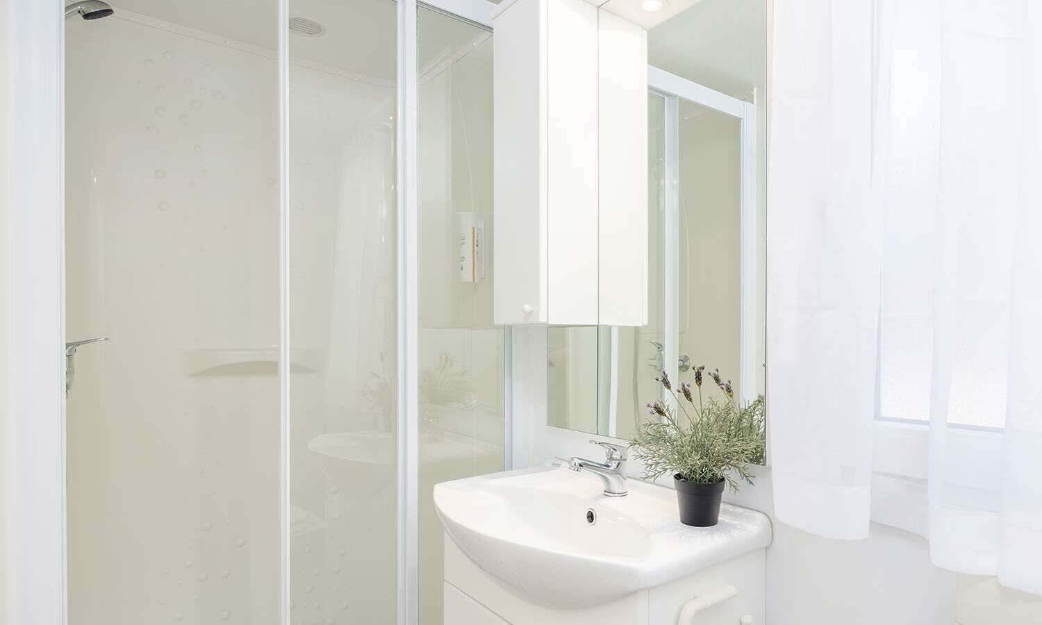 Un bagno moderno con cabina doccia in vetro, lavandino bianco e una pianta in vaso.