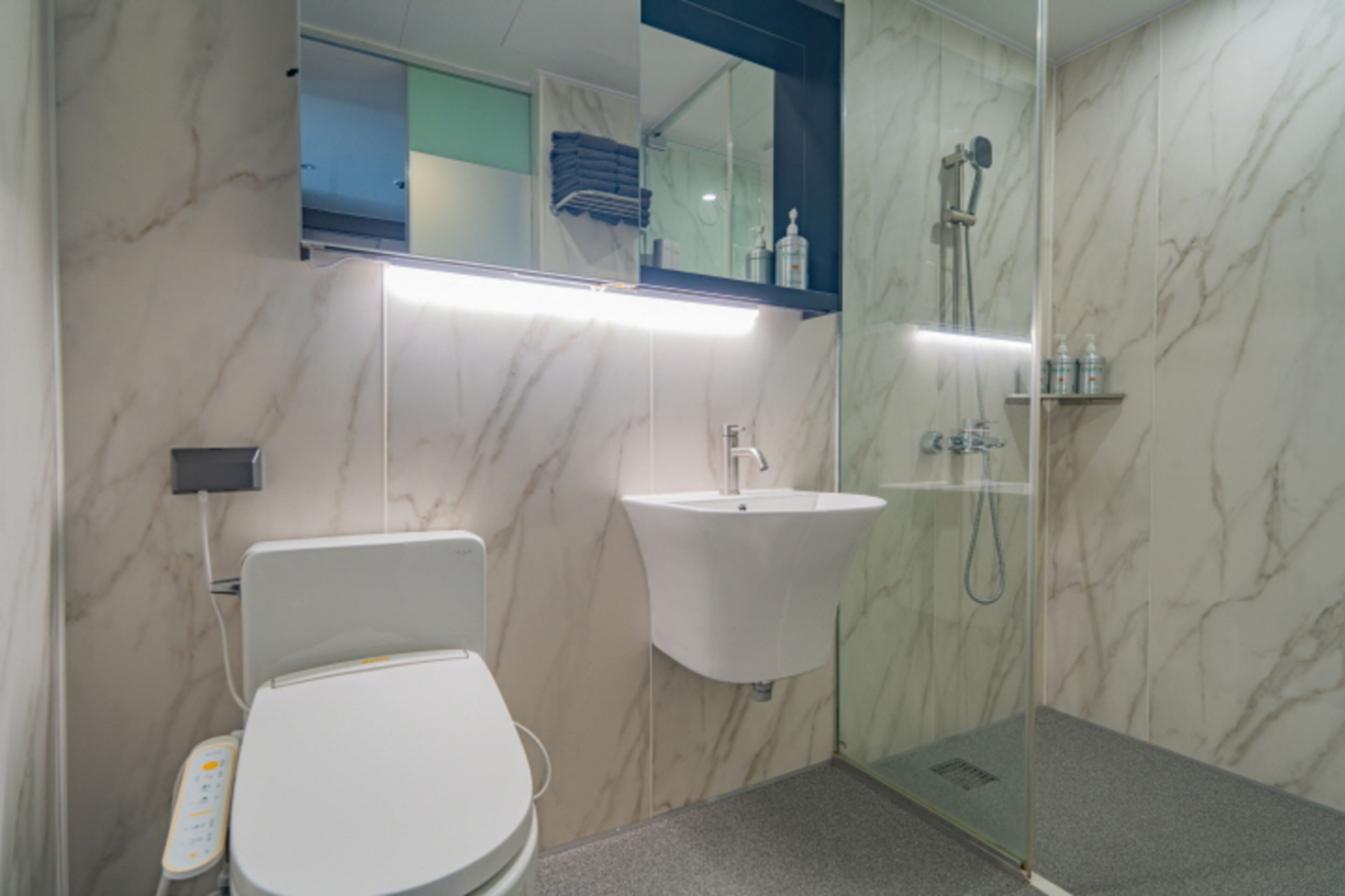 A bathroom with a toilet, a sink, a shower, and a mirror.