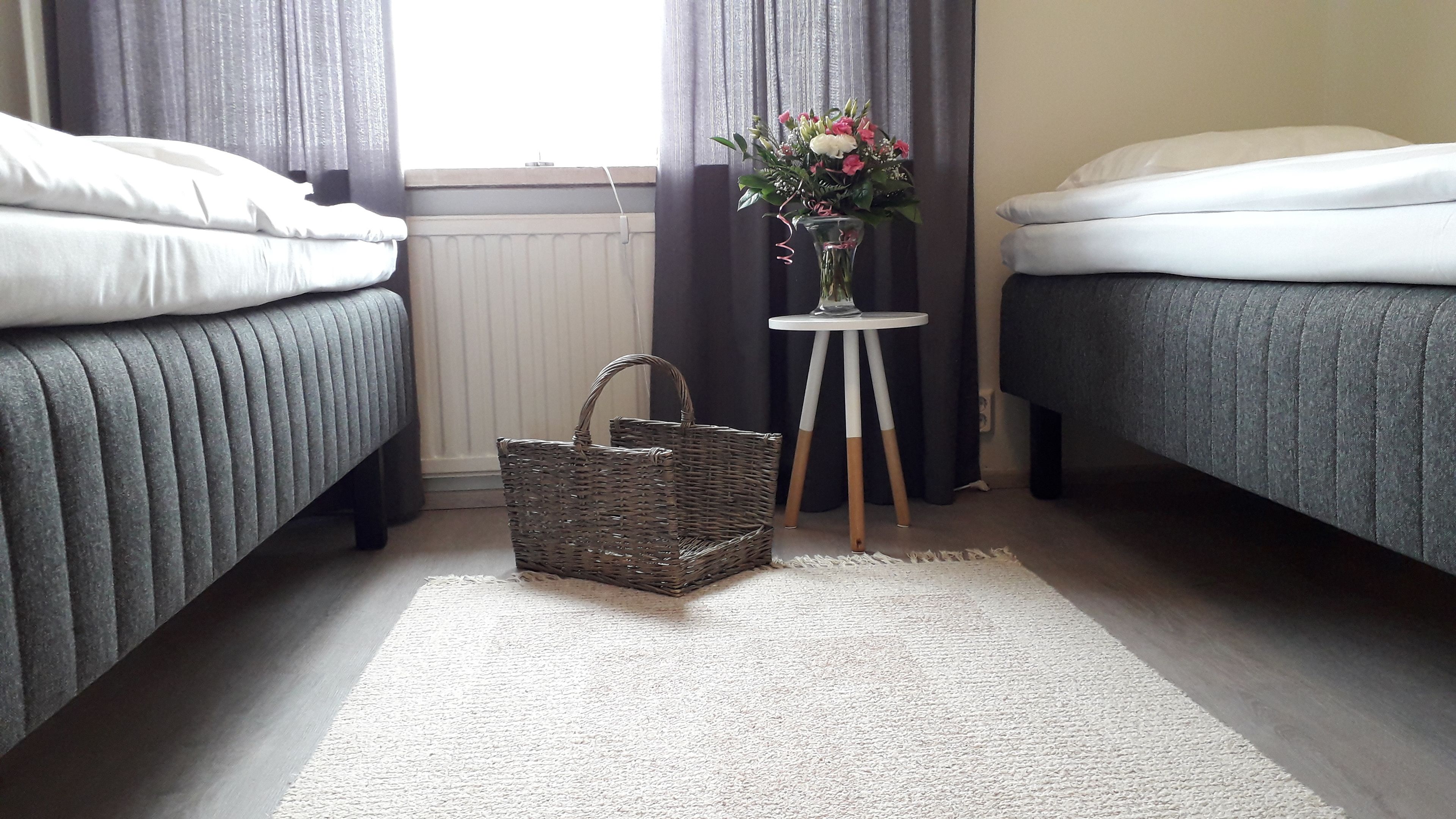 double or twin room, 2 single beds, non smoking | room amenity