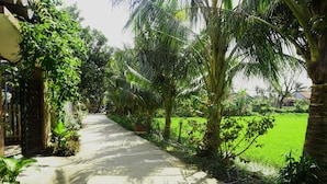 A pathway leading through a lush garden with palm trees and a green field. - Hoang Y Homestay (Da Nang)