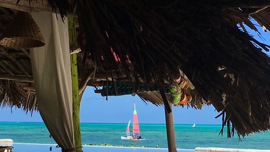 Driftwood Beach Lodge