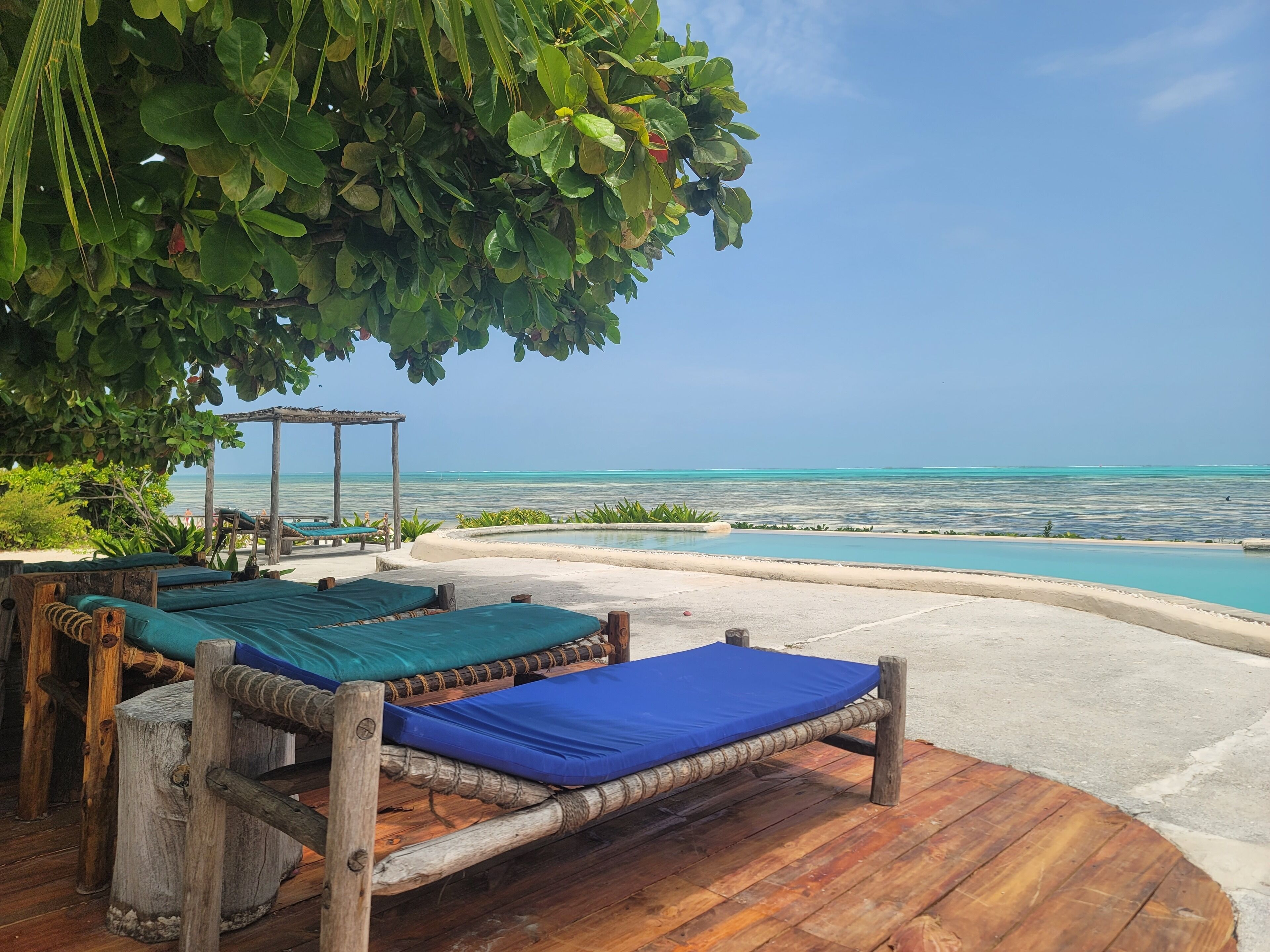 Outdoor pool, sun loungers